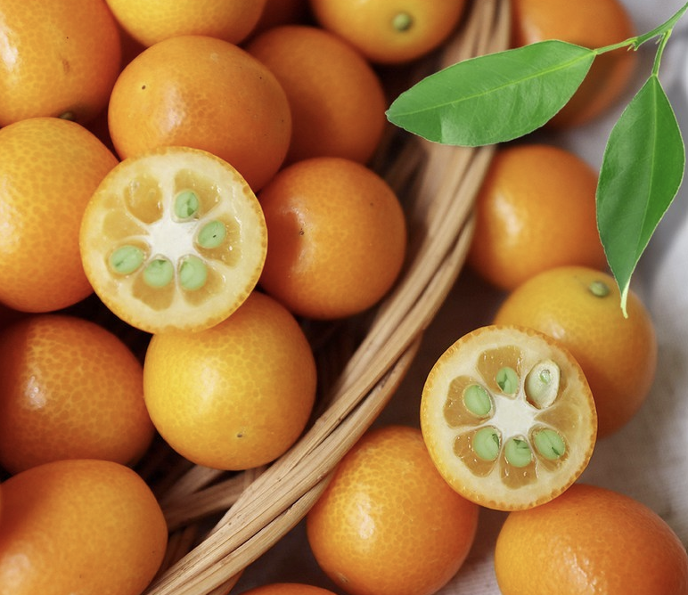 🌸🍊 흑임자꽃다식 &금귤정과 세트-Black Sesame Flower Dasik &Kumquat Jeonggwa Set
