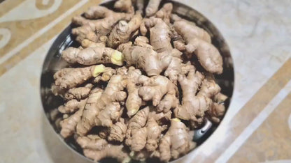 🍐 소담화 배생강고 Pear &amp; Ginger Preserved Extract